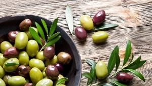Preparaty z liści oliwnych zalecane są osobom po przebytej ciężkiej chorobie, która wiąże się ze znacznym osłabieniem naturalnej bariery odporności