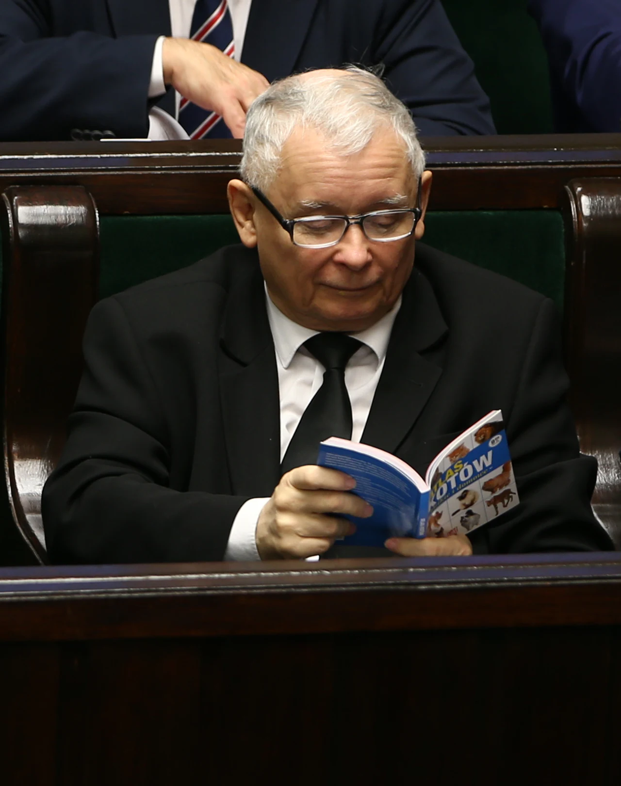 Jarosław Kaczyński w Sejmie zaczytywał się w "Atlasie kotów"