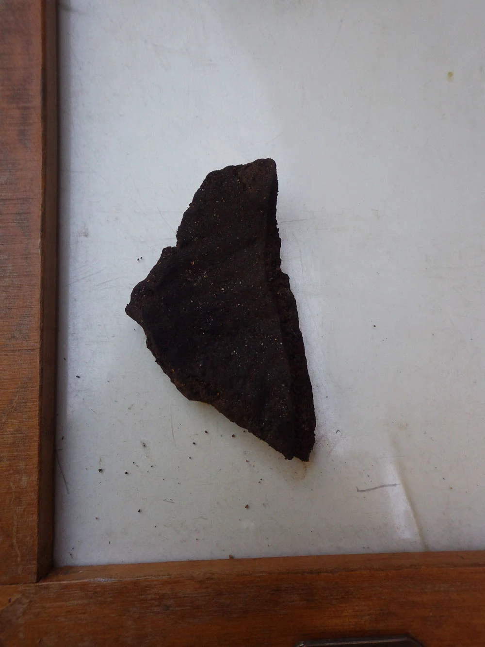 Fragment ceramiki z prawdopodobnie XII/XIII wieku, wydobyty podczas wykopalisk Fragment ceramiki z prawdopodobnie XII/XIII wieku, wydobyty podczas wykopalisk