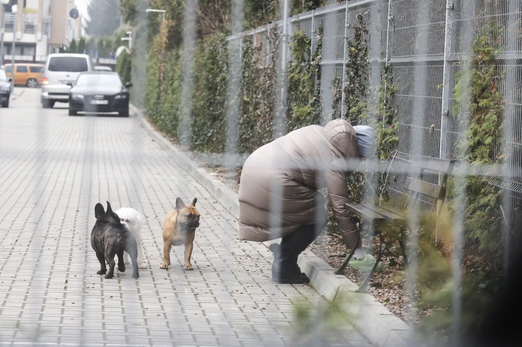 Kupy po Sisi i Lili sprząta już jednak inna kobieta Kupy po Sisi i Lili sprząta już jednak inna kobieta