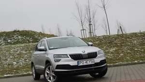 Skoda Karoq. Polacy ją pokochają?