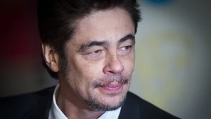 Benicio del Toro