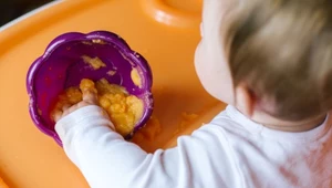 Niemowlęta zwykle łatwo oswajają się ze smakiem ziemniaka 