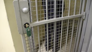 Zdjęcie ilustracyjne