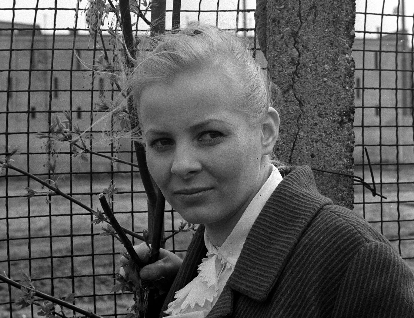 Pierwsze, młodzieńcze małżeństwo pani Anny (z domu Wojciechowskiej) z 10 lat starszym aktorem Gabrielem Nehrebeckim przetrwało 5 lat. To właśnie po nim "odziedziczyła" nazwisko. Do ołtarza poszła na drugim roku studiów. Warszawską PWST ukończyła w 1969 roku. "Byłam młoda, ale nie naiwna. Nie brałam ślubu z powodu zauroczenia. Wydawało mi się, że to będzie do końca życia" - mówiła w jednym z wywiadów.

W Warszawie plotkowano, że powodem rozstania było zauroczenie Nehrebeckiej Andrzejem Łapickim, który wzorem francuskiego reżysera i kochanka gwiazd Rogera Vadima chciał z niej zrobić drugą Catherine Deneuve lub Brigitte Bardot. Sama nie widziała się w roli polskiego symbolu seksu. Kariera kwitła dzięki kolejnym rolom szlachcianek. Na ulicy wołali za nią "pani Połaniecka".

("Życie na Gorąco Retro")