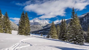 Zakopane. Zimowa stolica Polski u stóp Tatr 