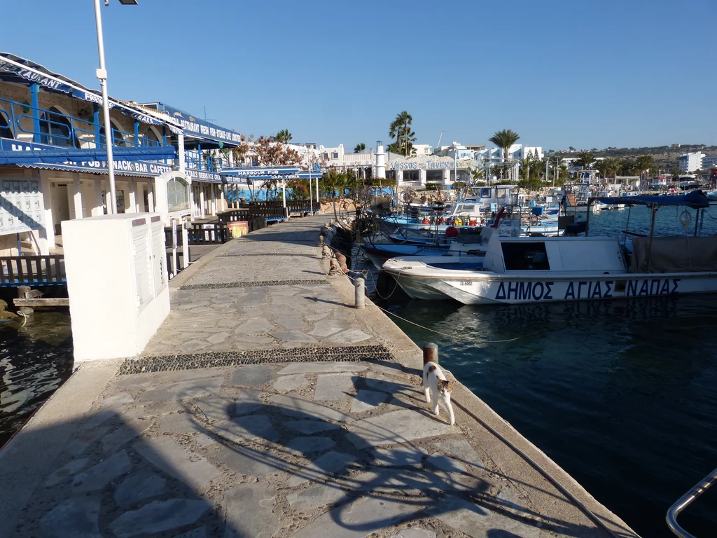 Port w Ayia Napa