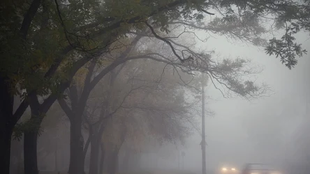 ​Polskie uzdrowisko tonie w smogu. Jakość powietrza jest fatalna