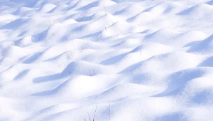 W czapach polarnych odkryto mikroorganizmy - takie same są na egzoplanetach?