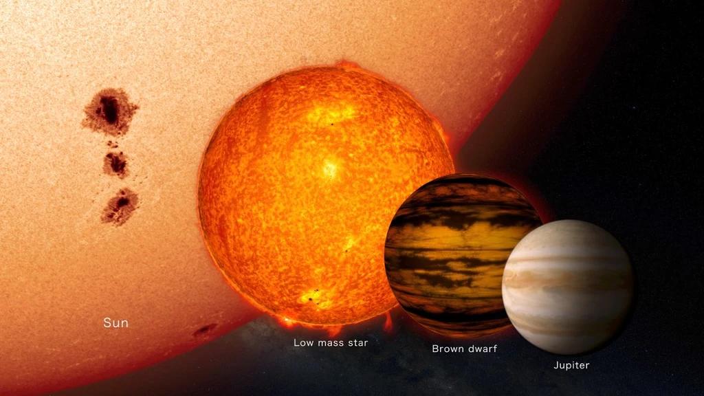 Porównanie wielkości małych gwiazd ze Słońcem oraz Jowiszem / Fot. - NASA's Goddard Space Flight Center