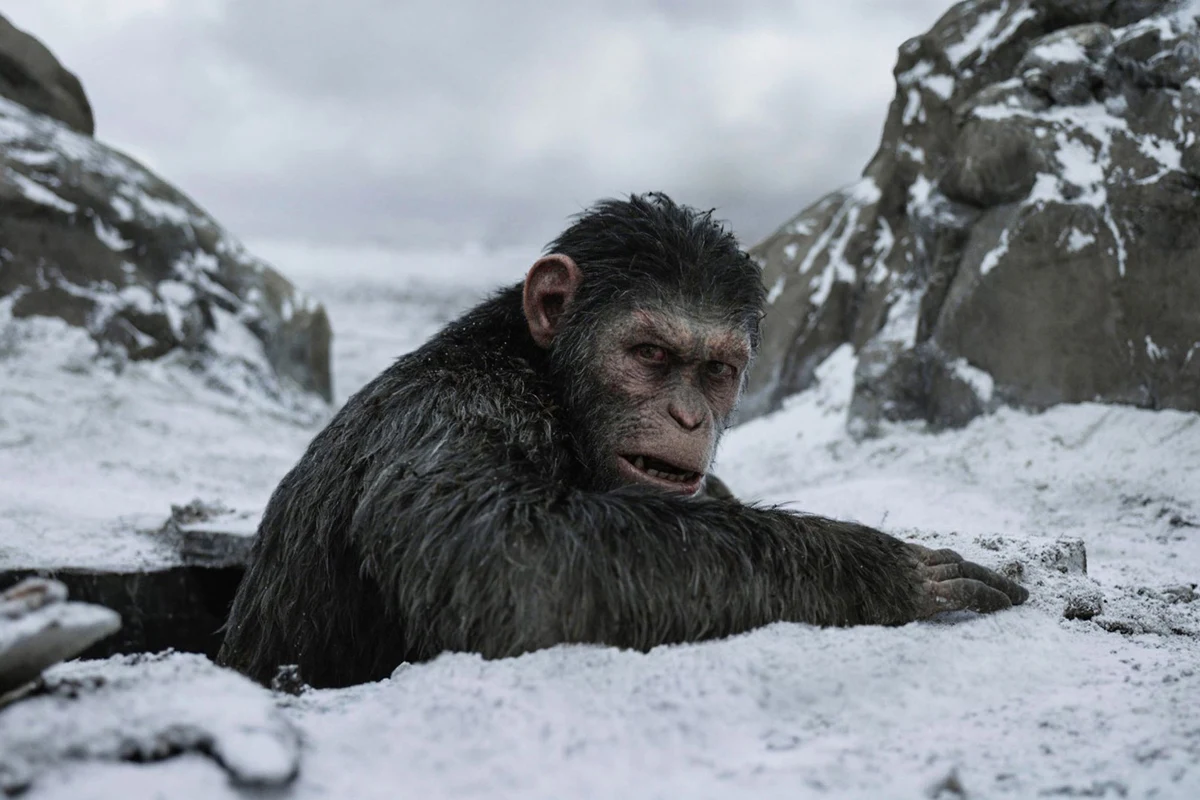 To był piękny koniec jednej z najlepszych filmowych trylogii ostatnich lat