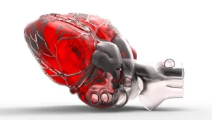 Lepsza diagnostyka chorób serca dzięki sztucznej inteligencj