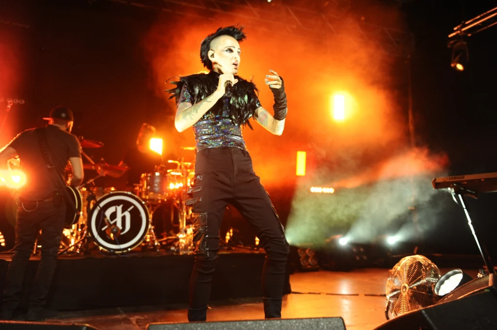 Agnieszka Chylińska podczas koncertu