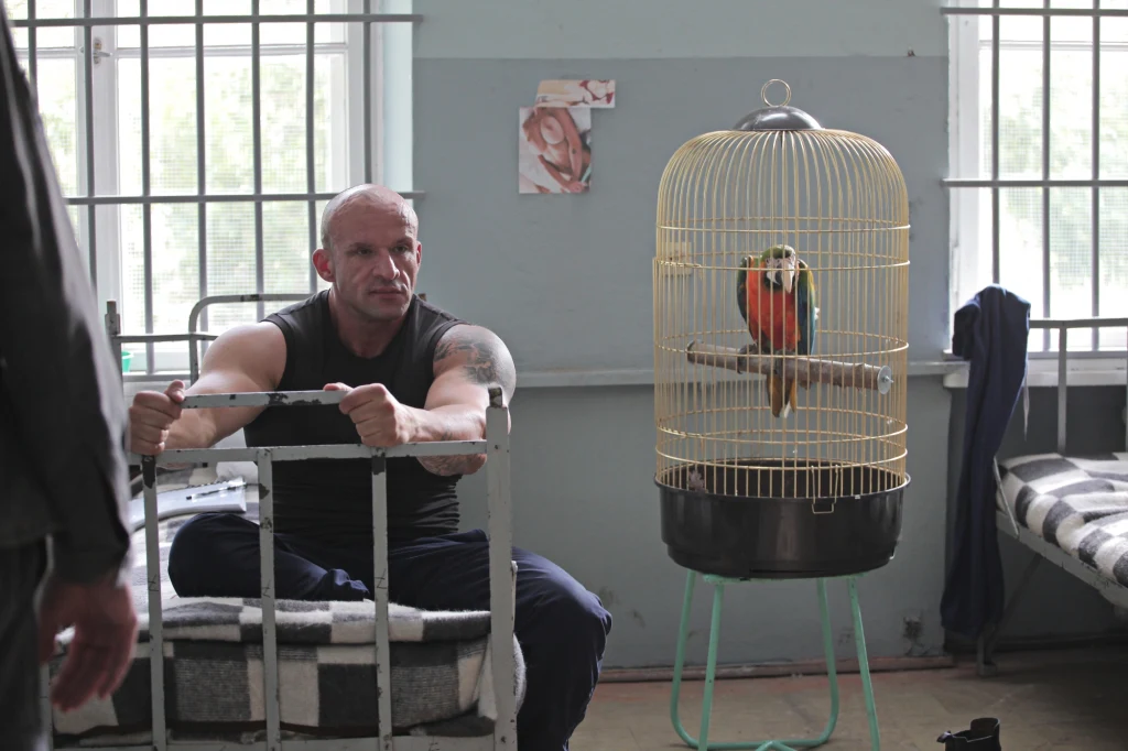 Tomasz Oświeciński urodził się w 1973 w Białymstoku. Jest aktorem niezawodowym. Zajmuje się także choreografią walk. Rozgłos i popularność przyniosła mu rola Marcina "Stracha" Opałki w filmie "Pitbull. Nowe porządki" Patryka Vegi. Oświeciński zagrał tam gangstera.
- Wymyśliłem tę postać jako gościa, którego można polubić, który nie jest myślicielem, ale wzbudza sympatię. Miałem czas, żeby się przygotować do tej roli - wiedziałem o niej pół roku wcześniej. Wszystkie jego słynne odzywki są zasłyszane przeze mnie i prawdziwe - mówił w wywiadzie dla "Super TV".
Ale jego przygoda z planem filmowym zaczęła się wcześniej. Tomasz Oświeciński urodził się w 1973 w Białymstoku. Jest aktorem niezawodowym. Zajmuje się także choreografią walk. Rozgłos i popularność przyniosła mu rola Marcina "Stracha" Opałki w filmie "Pitbull. Nowe porządki" Patryka Vegi. Oświeciński zagrał tam gangstera.
- Wymyśliłem tę postać jako gościa, którego można polubić, który nie jest myślicielem, ale wzbudza sympatię. Miałem czas, żeby się przygotować do tej roli - wiedziałem o niej pół roku wcześniej. Wszystkie jego słynne odzywki są zasłyszane przeze mnie i prawdziwe - mówił w wywiadzie dla "Super TV".
Ale jego przygoda z planem filmowym zaczęła się wcześniej.