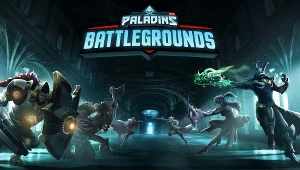 Paladins