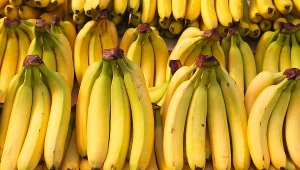 Jaka jest prawda o czarnej końcówce banana. Czy są zdrowe?