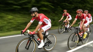 Kolarze grupy Cofidis