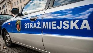 Zdj. ilustracyjne / Fot: Karol Makurat