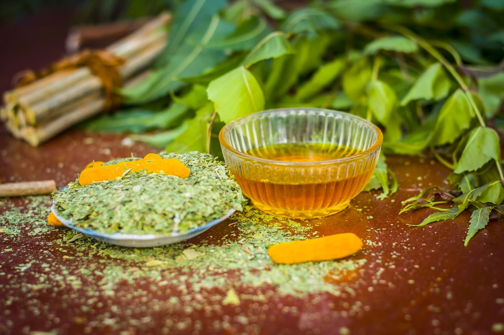 Olej neem znalazł zastosowanie w medycynie naturalnej. Czas na ogrodnictwo!
