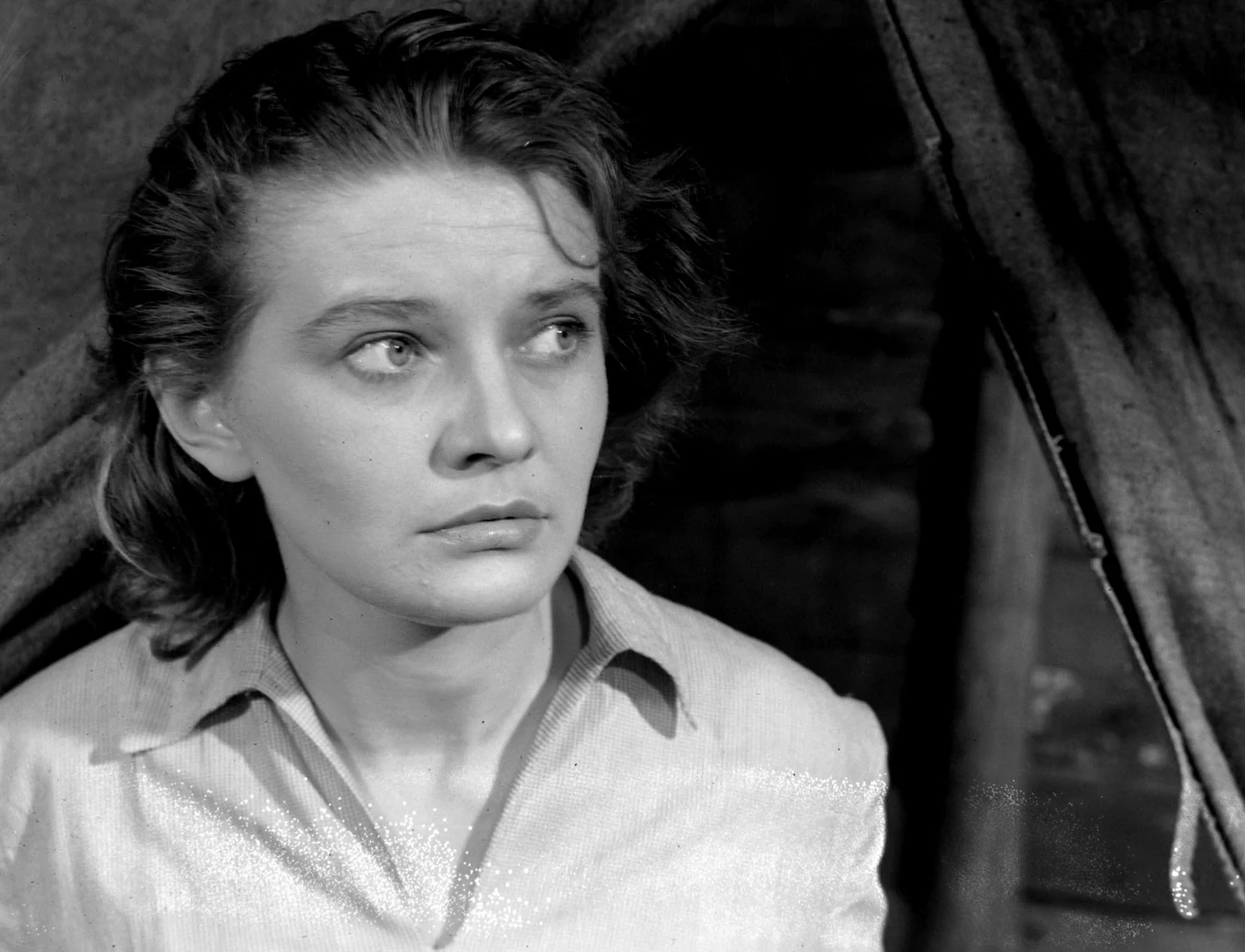 Kariera Winnickiej rozpoczęła się za sprawą filmu "Pod gwiazdą frygijską" (1954) Jerzego Kawalerowicza. Była to kontynuacja również wyreżyserowanej przez niego "Celulozy". W poszukiwaniach odpowiedniej aktorki pomagał mu Czesław Petelski, który pomyślał o tym, by "rozejrzeć się" wśród studentek PWST w Warszawie.
Dla Winnickiej były to już drugie studia, ponieważ w 1950 roku ukończyła wydział prawa na Uniwersytecie Warszawskim. - Kawalerowicza poznałam w 1953 roku. Zostałam wraz z dwiema koleżankami zaproszona na zdjęcia próbne do roli Madzi. Zwróciłam na Jerzego uwagę, miał w sobie siłę, (...) z daleka można było wyczuć dużą indywidualność - wspominała po latach aktorka. Co ciekawe, ten na początku kręcił nosem, mówiąc, że Winnicka na zdjęciach wygląda jak... "rozdeptany mops".