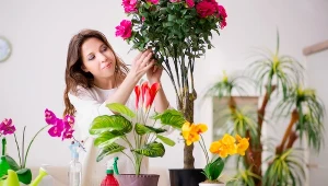 Wystarczą trzy proste kroki, aby pobudzić rośliny do wzrostu. Sprawdź, co musisz zrobić