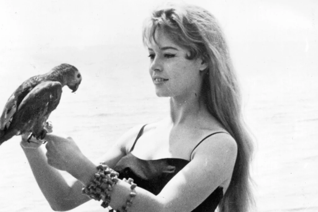  Brigitte Bardot