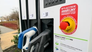 Lasy Polskie chcą pomóc właścicielom samochodów elektrycznych 