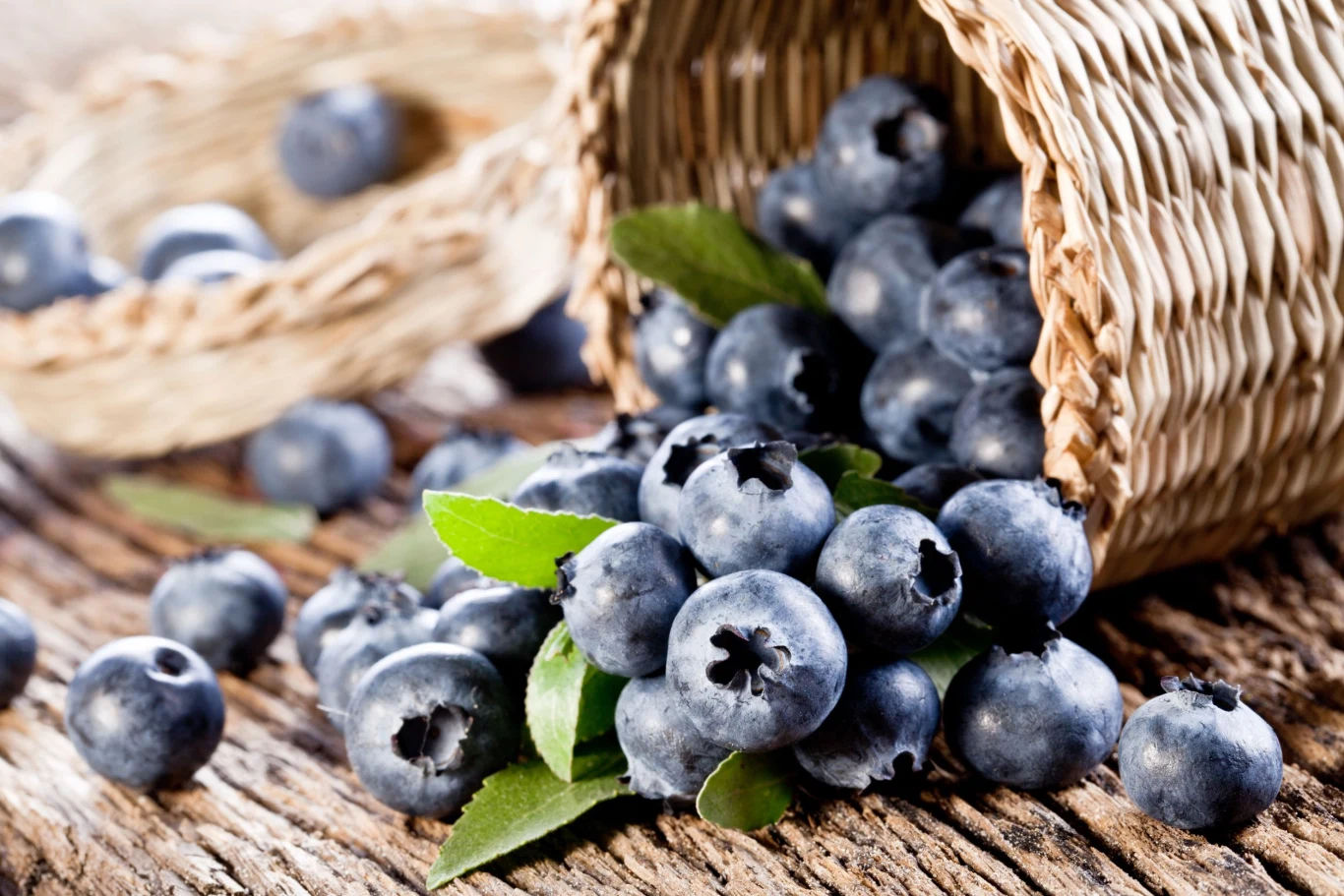 Lekarze zalecają spożywanie 140 gramów jagód dziennie