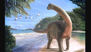 Takie dinozaury kiedyś żyły w Afryce