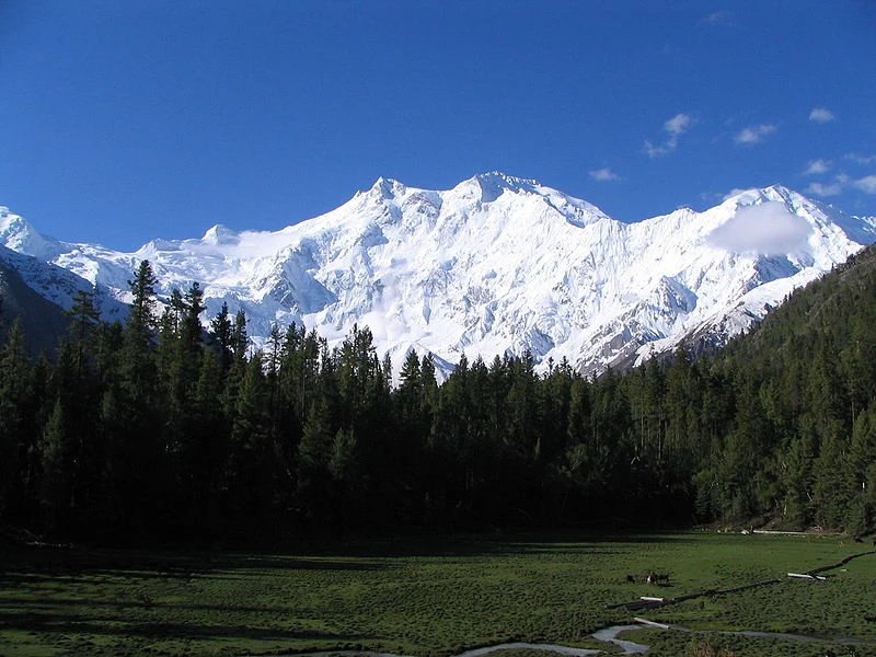 Widok na Nanga Parbat