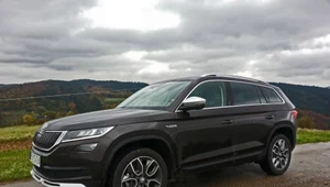 Skoda Kodiaq Scout 2.0 TDI – w offroadowym przebraniu