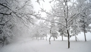  Intensywne opady śniegu na Podkarpaciu