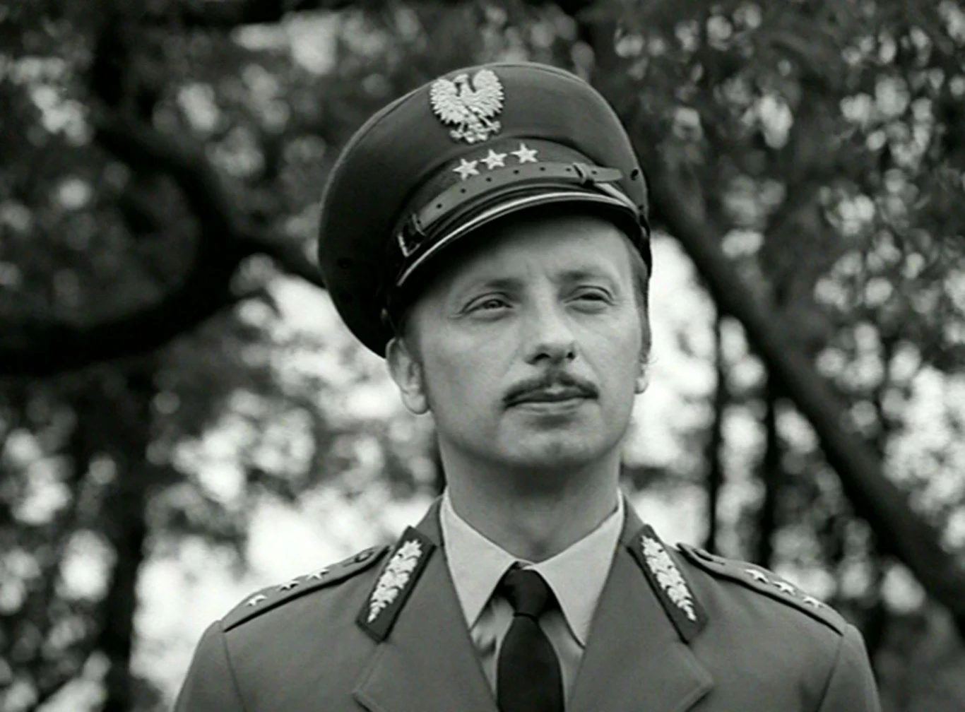 Pamiętną kreację aktor stworzył także w 7-odcinkowym serialu dla dzieci "Przygody psa Cywila" (1970). Produkcja opowiada o perypetiach sierżanta Milicji Obywatelskiej Walczaka i jego czworonożnego pupila. W serialu Pokora brawurowo zagrał przełożonego i prześladowcę Walczaka w Zakładzie Tresury Psów Milicyjnych.