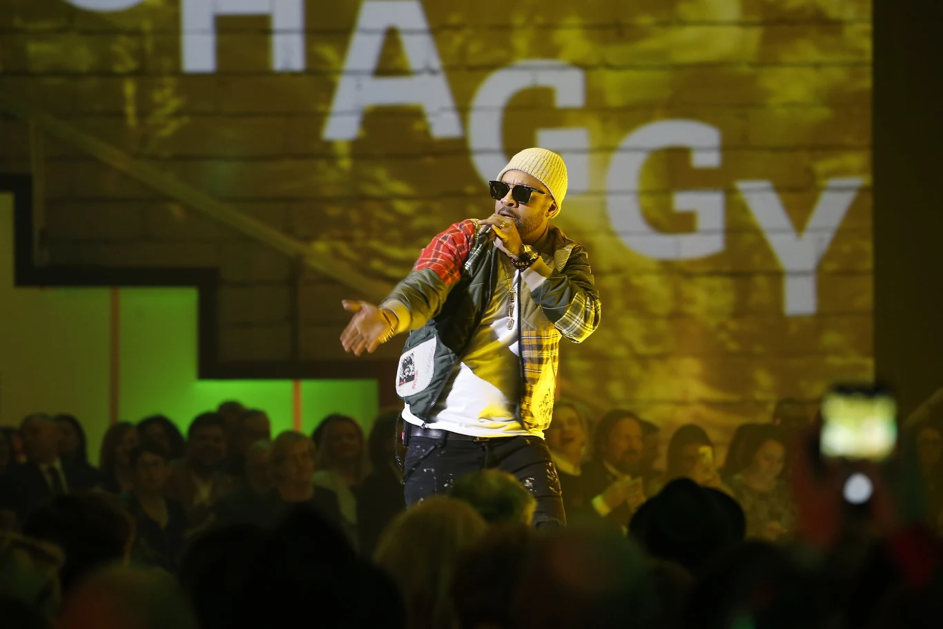 Shaggy na scenie