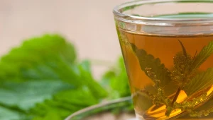 To niepozorne ziółko medycyna wykorzystuje od wieków