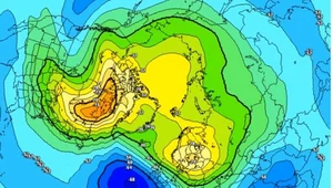 Wir polarny docierający do północnej Grenlandii zmierza w kierunku Kanady i północnej części Europy