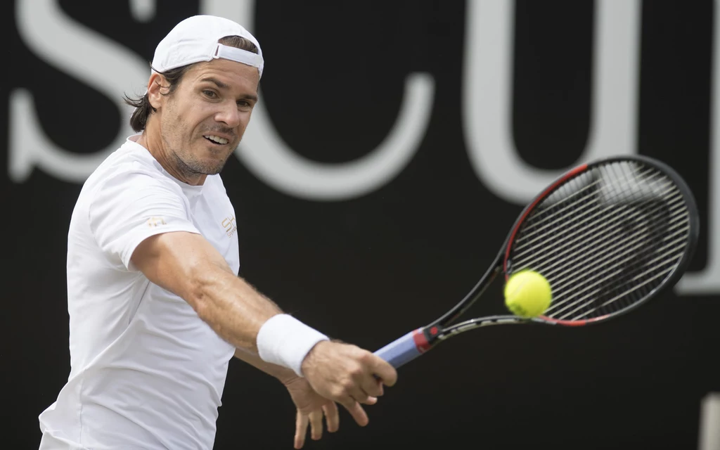 Tommy Haas