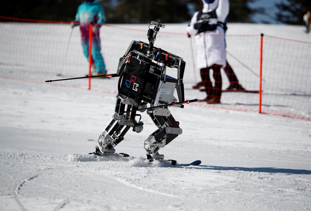 Roboty dobrze radziły sobie na stoku / fot: Kim Hong-ji