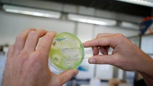 Kończą nam się antybiotyki, więc każde odkrycie jest na wagę złota