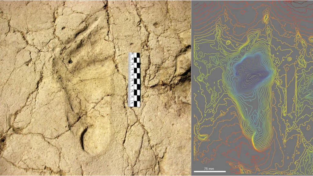 W Etopii znaleziono ślady stóp liczące 700 000 lat