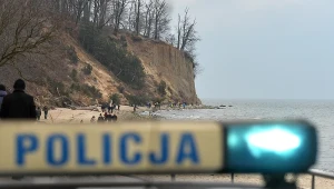 Osuniety fragment klifu w Gdyni Orlowie