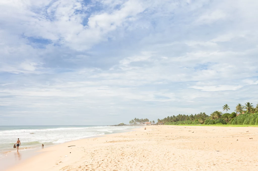 Sri Lanka słynie z pięknych plaż