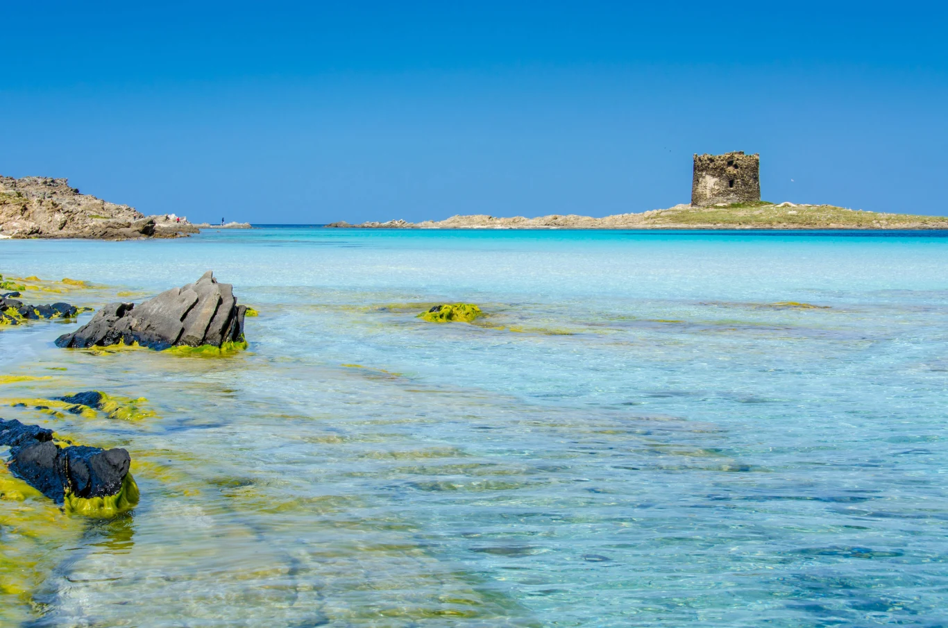 La Pelosa na Sardynii