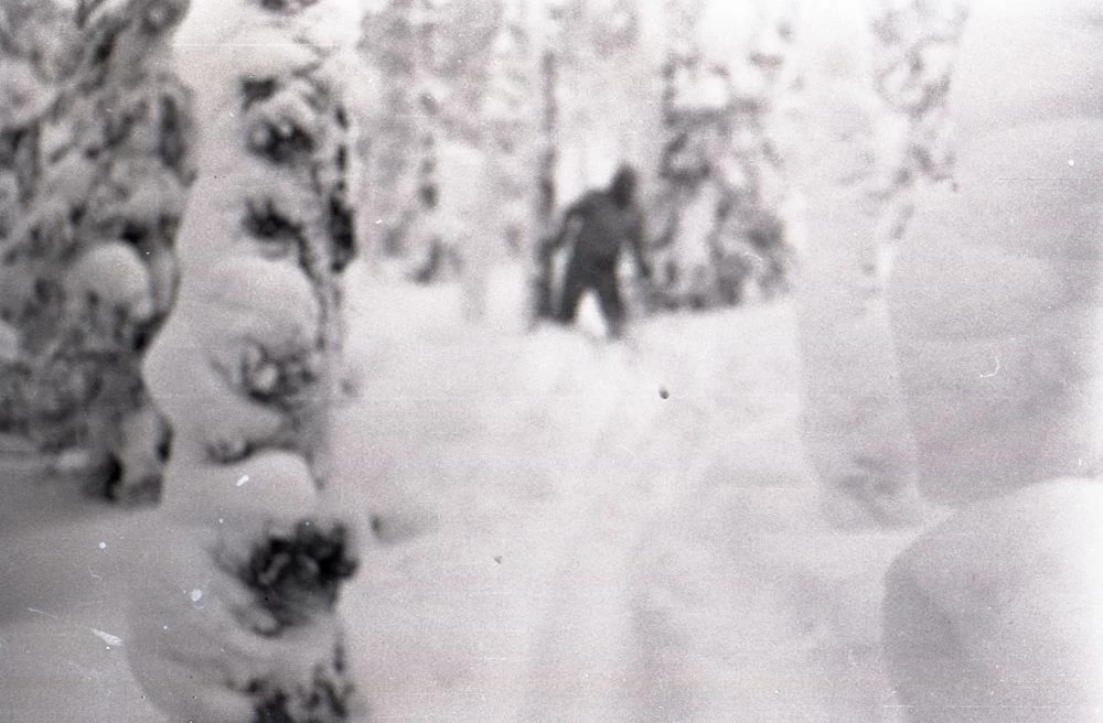 Naukowcy dopiero niedawno odnaleźli w archiwach dotyczących tajemniczej śmierci dziewięciorga alpinistów to zdjęcie. Zrobiono je na kilka godzin przed tragicznymi wydarzeniami. Widać na nim wyraźnie zarys około 2,5-metrowego stworzenia