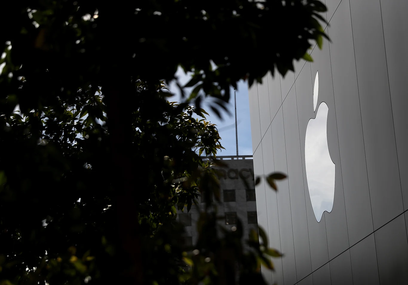 Apple inwestuje w rozszerzoną rzeczywistość Apple inwestuje w rozszerzoną rzeczywistość