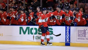 Florida Panthers wygrali z Pittsburgh Penguins