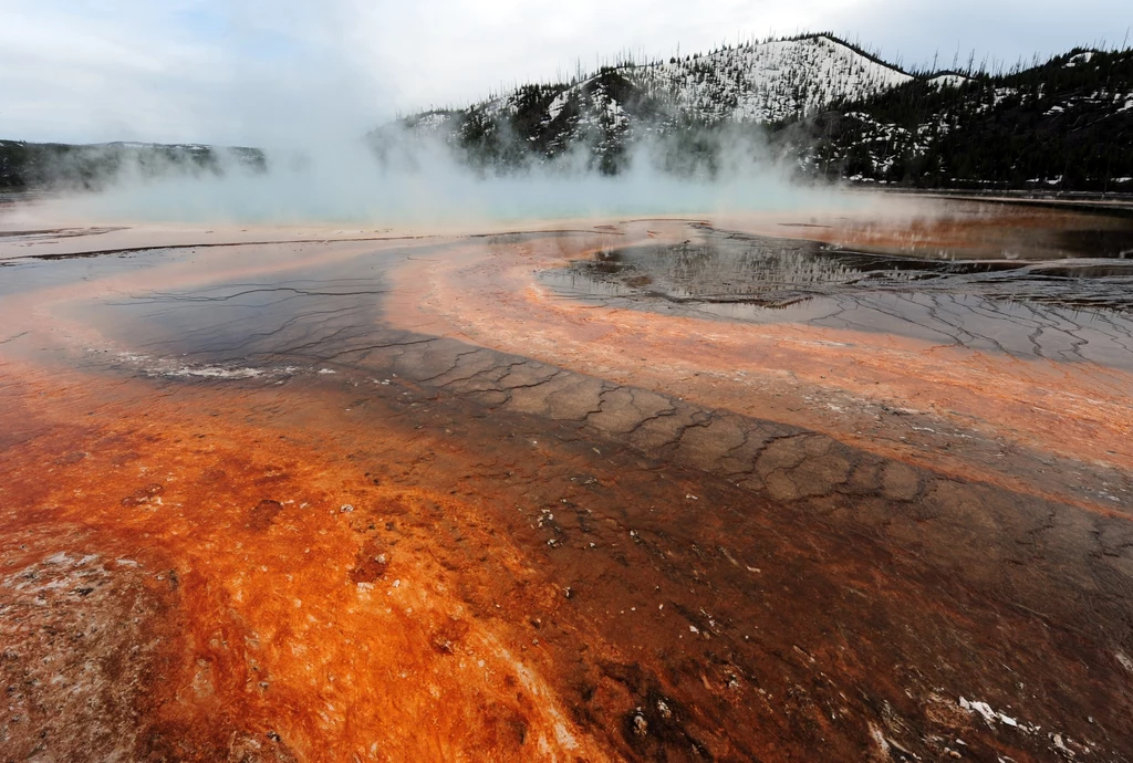 Wirusy z Yellowstone mogą pomóc w rozwoju technik medycznych