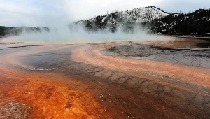 Wirusy z Yellowstone mogą pomóc w rozwoju technik medycznych