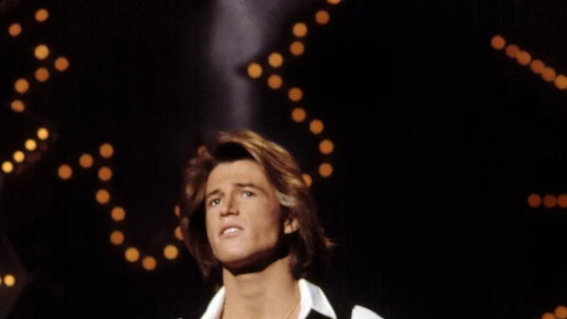 Andy Andy Gibb nie wszedł w skład Bee Gees. Kiedy słynna grupa zaczęła się formować, on był niemowlakiem. Gdy dorósł, z powodzeniem śpiewał na własny rachunek.