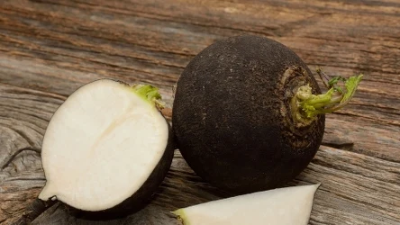 Ta domowa wcierka z czarnej rzepy wzmacnia cebulki i pomaga ograniczyć wypadanie włosówWłosy, które zbytnio wypadają wzmocni czarna rzepa